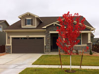 Casa actual, arce rojo en otoño